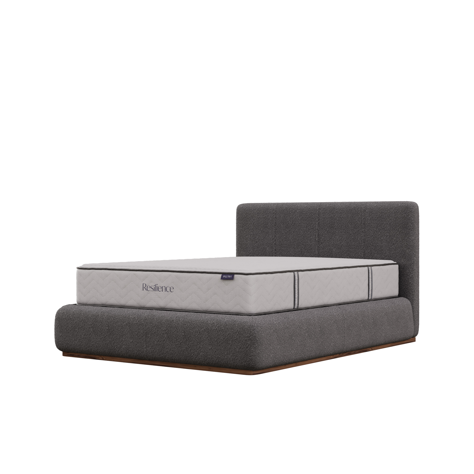 Resilience-505292_View02