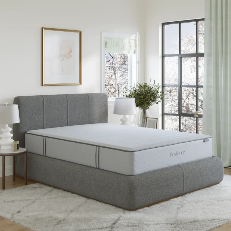 Resilience Premier Plush Mattress