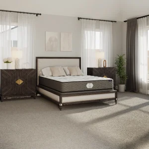 Quiet Night Plush Mattress