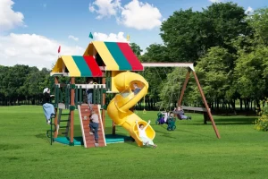 Amish Playmor Dizzy Delight Outdoor Playset